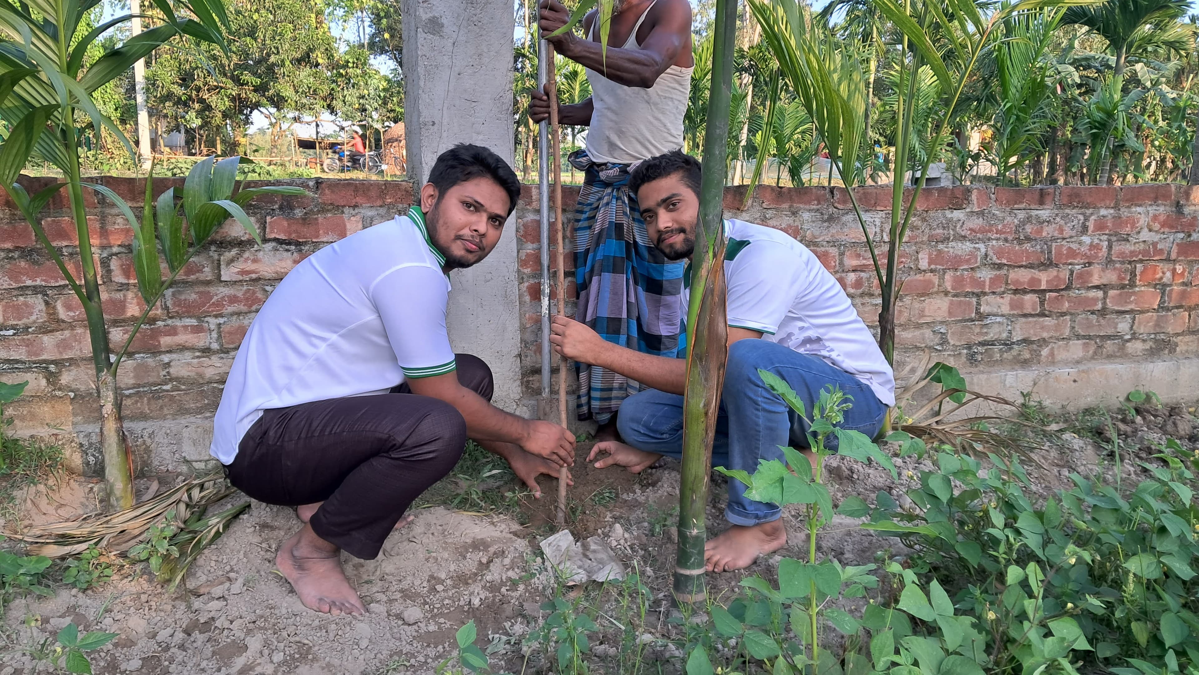বৃক্ষরোপন